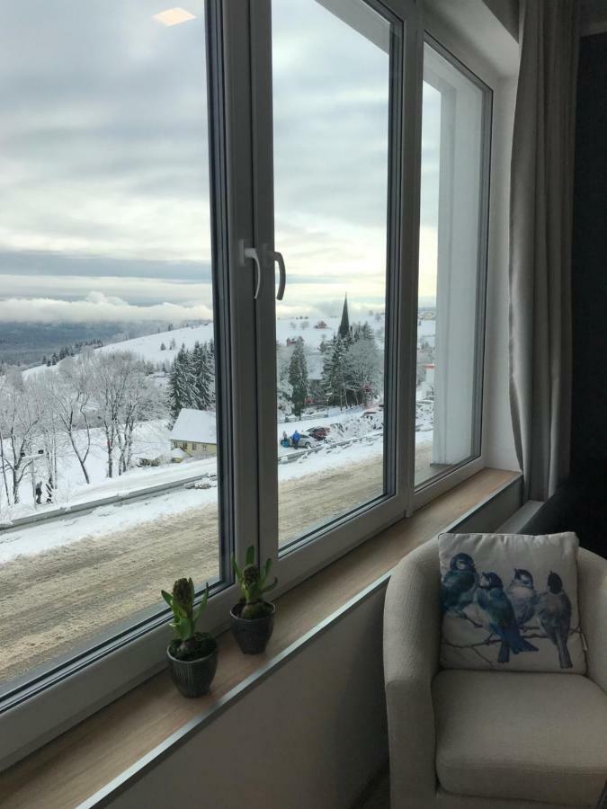 Apartamenty Zieleniec Duszniki Zdrój Exterior foto